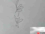 边框简笔画：简单又漂亮