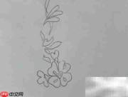边框简笔画：简单又漂亮