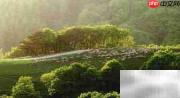 韩流热潮持续席卷