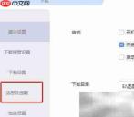 迅雷播放组件设置指南