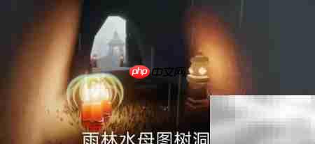 光遇雨林大蜡烛位置一览