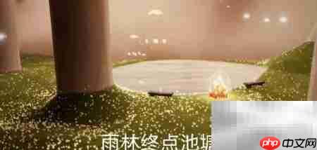 光遇雨林大蜡烛位置一览