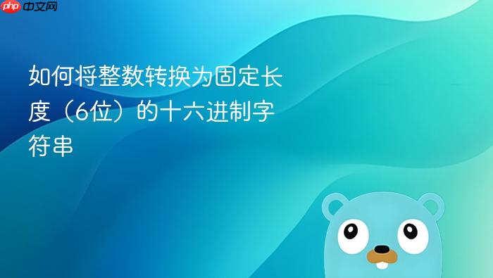 如何将整数转换为固定长度(6位)的十六进制字符串