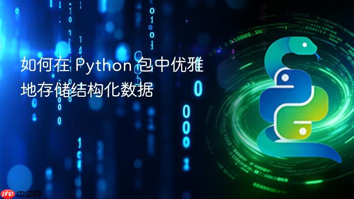 如何在 Python 包中优雅地存储结构化数据