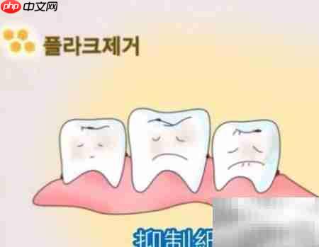 艾多美牙膏功效解析