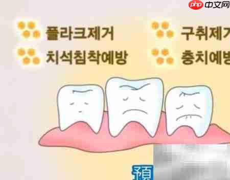 艾多美牙膏功效解析