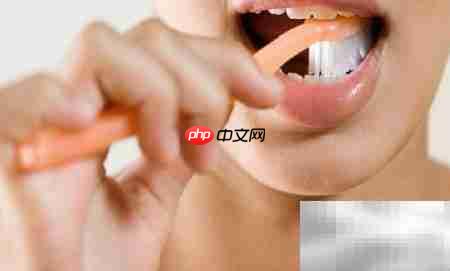 口腔保健小知识