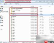 Visual Studio 2010 安装指南