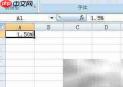 Excel输入1.5%的正确方法