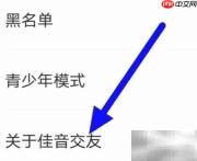佳音交友最新版本检测方法