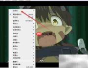 dove影音如何载入字幕