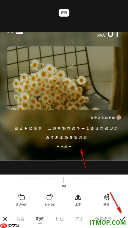 美图秀秀手机版设置将图片进行水平镜像翻转的方法