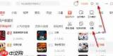 喜马拉雅听书有字幕吗