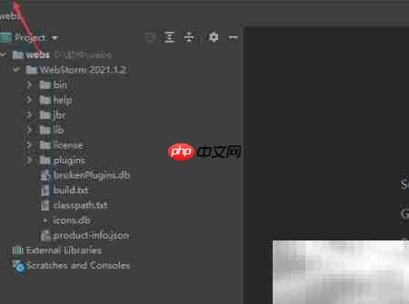 关闭WebStorm边沟修改线高亮