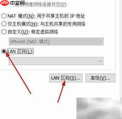 虚拟机移除LAN区段方法