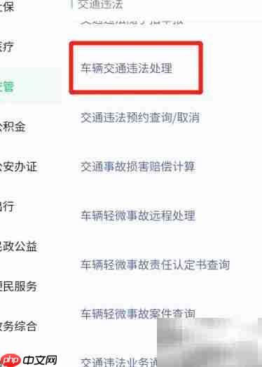 跨平台车辆违法处理