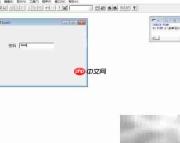 VF6.0文本框占位符设置