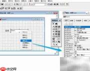 VF6.0文本框占位符设置