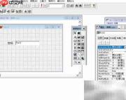 VF6.0文本框占位符设置
