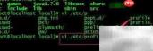 Linux下搭建Java开发环境