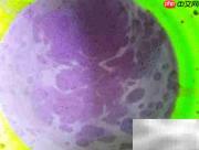 白花果紫糕：纯天然做法