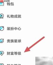 赫兹财富等级查询指南