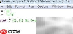 Python占位符与format用法解析