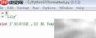 Python占位符与format用法解析