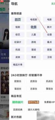 爱奇艺极速版动漫观看指南
