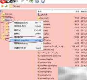 解决网站500错误