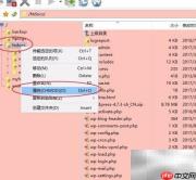 解决网站500错误