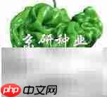 辣椒的多彩世界