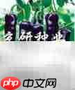 辣椒的多彩世界