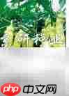 辣椒的多彩世界