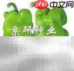 辣椒的多彩世界