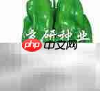 辣椒的多彩世界