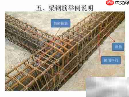梁箍筋加密区长度计算方法