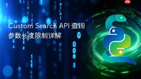 Custom Search API 查询参数长度限制详解