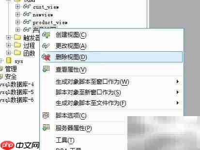 Aqua Data Studio删除视图方法