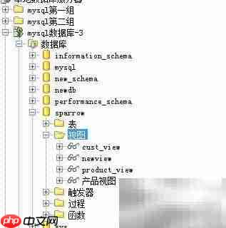 Aqua Data Studio删除视图方法