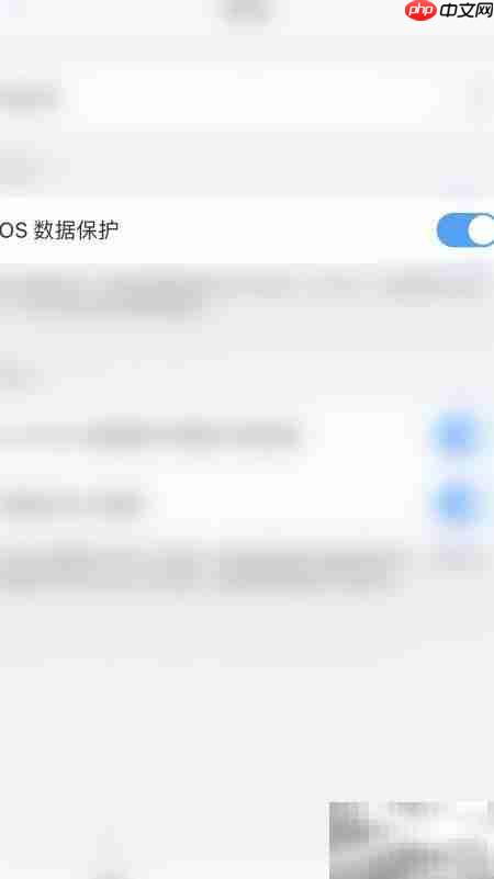 开启PDF Expert数据保护