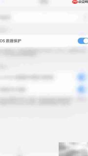 开启PDF Expert数据保护