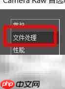 开启TIFF自动打开设置