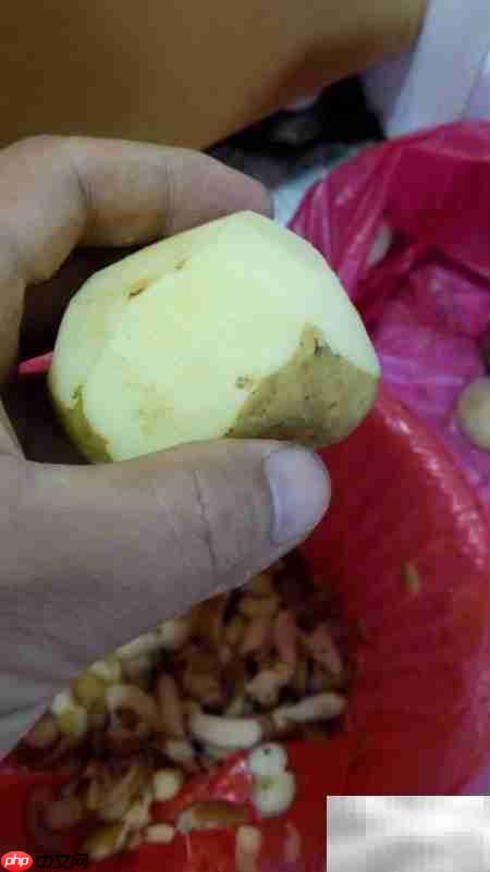 土豆包菜美食制作秘诀