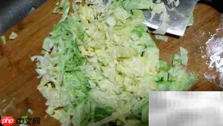 土豆包菜美食制作秘诀