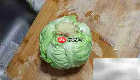土豆包菜美食制作秘诀