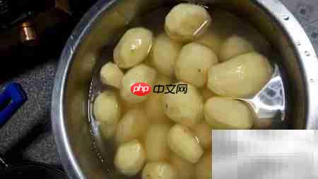 土豆包菜美食制作秘诀