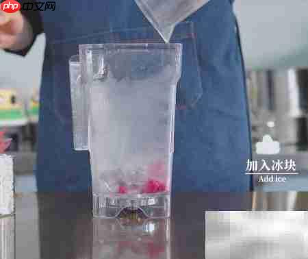 乐乐火龙果制作秘诀