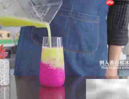 乐乐火龙果制作秘诀