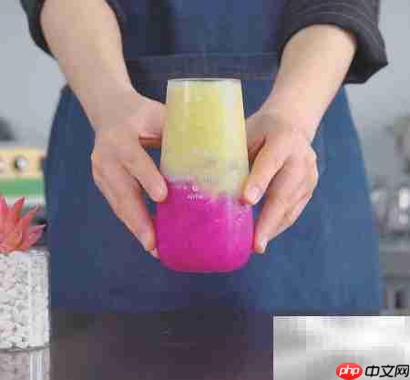 乐乐火龙果制作秘诀